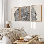 CHDITB Framed Wood Tree Rings Wall Art Set, 16x24in Black and White Canvas Art Wall Decor, Abstract Nature Wall Pictures Prints, Modern Paintings Wall Art for Living Room, Bedroom, Farmhouse(3Pcs)