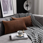 Light Brown Throw Pillow Cases: 2 Pack 12x20 Inch Original Stripe Velvet Rectangular Decorative Pillow Covers for Farmhouse Couch