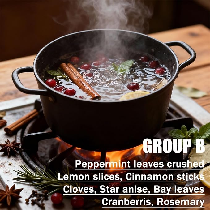 Intention Simmer Pot Blends,Potpourri Simmer Pot for Stove, Potpourri Simmering Fall Home Fragrance for Housewarming, Christmas,with Herbs, Dried Fruit (A,3PCS)
