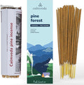 Pinon Pine Incense Sticks - (80+ Pine Scented Sticks for Christmas Tree) Charcoal Free Natural Incense Non Toxic | Aroma of Fresh Needles & Woody Bark, Perfect Christmas Inscents