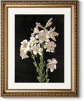 ARPEOTCY Vintage Gold Framed Wall Art Decor, Classic Floral Lily Flower Paintings, Victorian Wall Decor for Living Room Bedroom, Canvas Prints Antique Frame Artwork for Room Decor, 13x16 inch