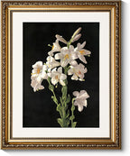 ARPEOTCY Vintage Gold Framed Wall Art Decor, Classic Floral Lily Flower Paintings, Victorian Wall Decor for Living Room Bedroom, Canvas Prints Antique Frame Artwork for Room Decor, 13x16 inch