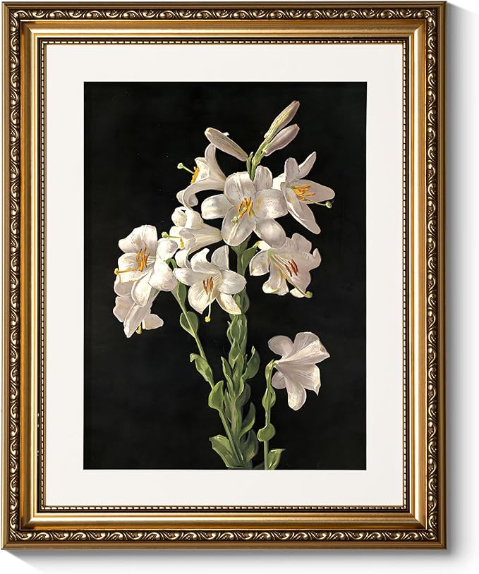 ARPEOTCY Vintage Gold Framed Wall Art Decor, Classic Floral Lily Flower Paintings, Victorian Wall Decor for Living Room Bedroom, Canvas Prints Antique Frame Artwork for Room Decor, 13x16 inch