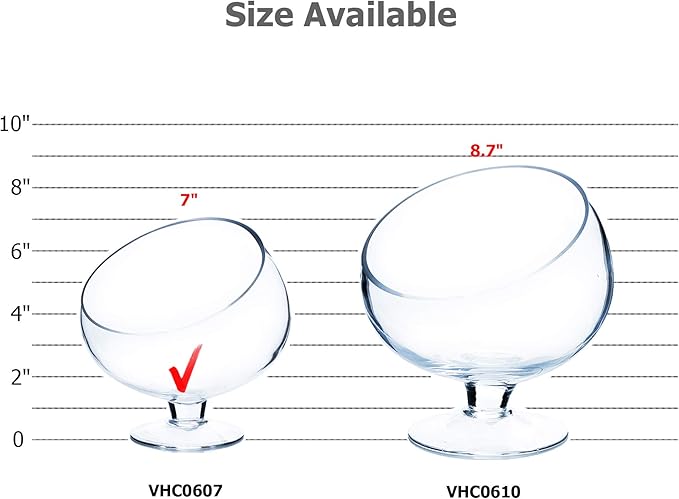 WGV Slant Cut Bowl Glass Vase with Stand, Width 6.5", Height 7", Clear Planter Terrarium, Candy Dish, Fruit Jar for Wedding Party Event, Home Office Decor, 1 Piece