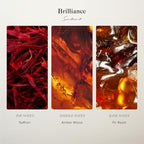 Scentiment Diffuser Oil - Brilliance Designer Collection | Aromatherapy Home Fragrance | Luxurious Scent with Notes of Saffron, Amberwood, Fir Resin (20 mL)