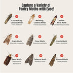 POPTRAP 10 Pack Pantry Moth Traps, Non-Toxic Glue Moth Trap for Food and Cupboard, Traps with Natrual Pheromones, Wood Grain Appearance for Pantry Moths