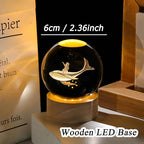 3D Whale Girl Crystal Ball with Wooden Light Base Glass Whales Girls Figurine Night Light Decor for Whale Lovers Women Daughter on Christmas Valentine's Day Birthday (Diameter 2.36 inches)