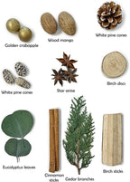 Apragaz Christmas Potpourri-Green Christmas Vase Filler with Cinnamon Sticks, Anise, Cedar Branches, Pine Cones Mix Potpourri, Home Decorations for House Xmas Bowl Filler Décor