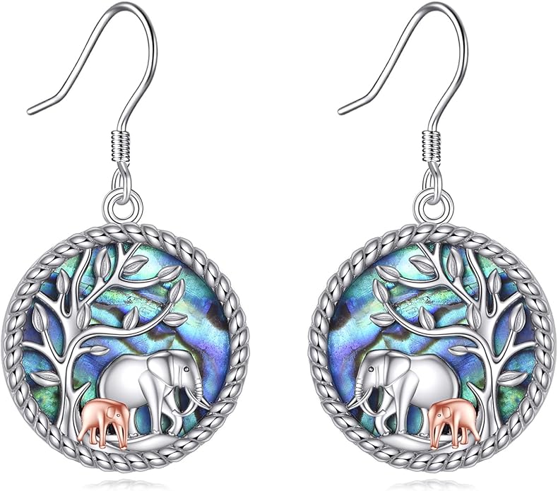 URONE 925 Sterling Silver Earrings Hook Dangle Earrings Jewelry Gifts for Women