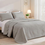 Exclusivo Mezcla Queen Quilt Bedding Set, Lightweight Light Grey Quilts Queen Full Size for All Seasons, Soft Microfiber Bedspreads Coverlets Bed Cover with Leaf Pattern, 3 Piece