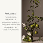 Homecourt Room Deodorant, Natural Room Spray, Fine Fragrance of Apple & Jasmine, For Kitchen, Bathroom & more, Clean Formula, Neroli Leaf, 3.4 oz