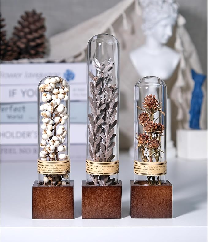3Pcs Dried Flower Decor,Knick Knacks for Shelves,Cool Stuff for Bookshelf,Small Plants Decor for Office Shelves,Natural Green Plants Boho Shelf Decor,Apothecary Decor,Unique Gifts for Women,Friends