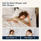 Pacific Coast Feather and Down Bed Pillows Standard Size Set of 2, Goose Feather and Down Hotel Pillow for Sleeping, Downproof, 3-Chamber, Medium Supportive, 100% Cotton Shell