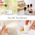 JCLOUD Summer Fragrance Oils Set | Hotel Diffuser Oil & Home Luxury Scents - Gift Set of 6 Summer Essential Oil for Diffusers for Home, Fresh Citrus, Tropical Fruity & Clean Aquatic, 6x10mL