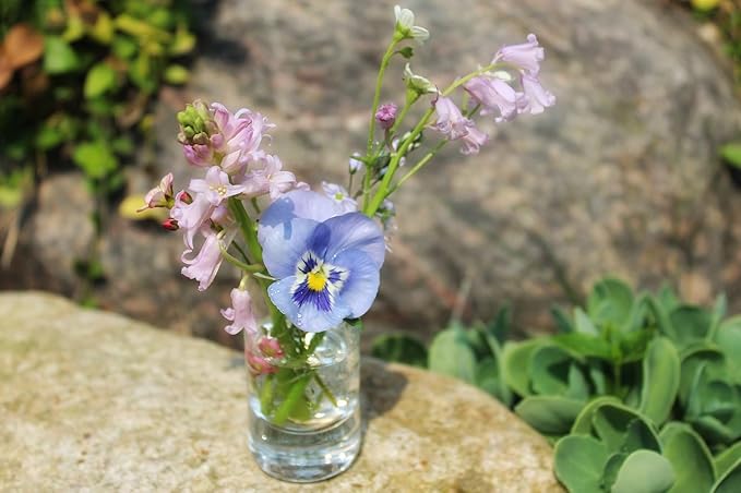 WGVI Quality Thick Clear Cylinder Glass Vase, 3" W x 5" H, Floral Container, Glass Candle Holder, Flower Vases, Wedding Centerpiece, Planter Terrarium, Table Top Home Décor Accent, 6 Pieces