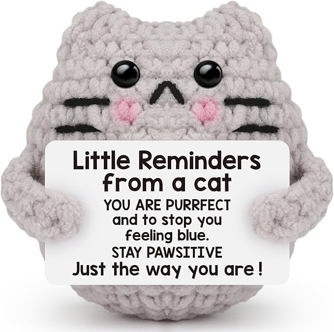 Positive Cat Inspirational Birthday Gifts for Women, Back to School Students Little Reminders Emotional Crochet Support Duck Pickle Potato Small Cute Cat for Her Him Men Friends Coworkers