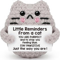 Positive Cat Inspirational Birthday Gifts for Women, Back to School Students Little Reminders Emotional Crochet Support Duck Pickle Potato Small Cute Cat for Her Him Men Friends Coworkers