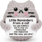 Positive Cat Inspirational Birthday Gifts for Women, Back to School Students Little Reminders Emotional Crochet Support Duck Pickle Potato Small Cute Cat for Her Him Men Friends Coworkers