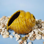 Yellow Ceramic Conch Palo Santo Holder - Mini Chimney Incense Burner, Tabletop Smudge Bowl Compatible with Sage/Sticks/Cones/Copal,for Yoga、Zen Meditation、Witchcraft, Ideal Altar Decor Gift