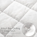 Greek Velvet Twin Quilt Set, 3× Softer Luxe Sheen, 100% Cotton Backing, 150GSM Down-Alternative Fill, Expanded 68×90" Coverage for Fuller Side Drape (1 Quilt + 1 Pillow Shams), Brilliant White