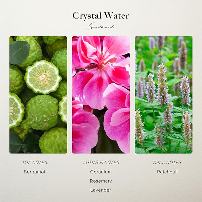 Scentiment Diffuser Oil - Crystal Water Designer Collection | Aromatherapy Home Fragrance | Luxurious Scent with Notes of Bergamot, Geranium, Patchouli (20 mL)