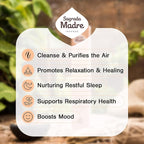 Sagrada Madre 8pcs Wildly Harvested Thick Palo Santo Incense Sticks (Copal), 9” Long - Non-Toxic, Aromatic Incense Sticks (1hr Burning Time) to Heal & Calm Your Body and Environment-Pack x 3