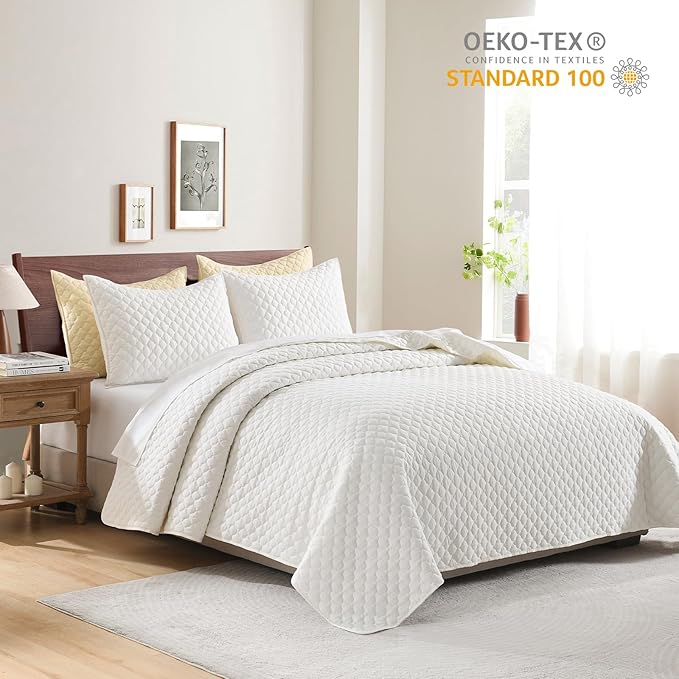 HORIMOTE HOME Cream Quilt Queen Size, Lightweight Quilts for Summer Ultra-Soft Microfiber Modern Style Quilted Clouds Pattern Bedspread Quit Set 3 Pieces(1 Quilt and 2 Pillow Shams)