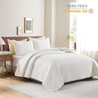 HORIMOTE HOME Cream Quilt Queen Size, Lightweight Quilts for Summer Ultra-Soft Microfiber Modern Style Quilted Clouds Pattern Bedspread Quit Set 3 Pieces(1 Quilt and 2 Pillow Shams)
