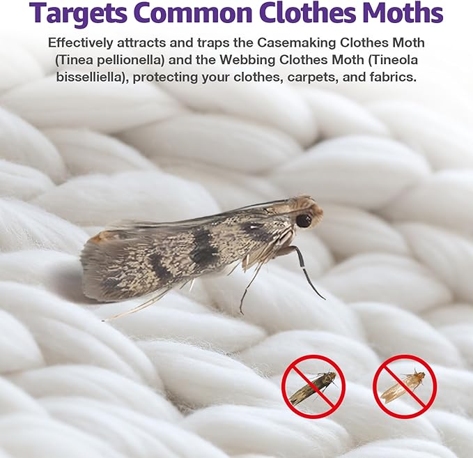 6 Pack Premium Clothes Moth Traps for House Indoor, Double Potent Pheromone Sticky Glue Moths Killer Repellent for Closet Organizers & Storage No Mothballs Odor Home Pest Control Trap
