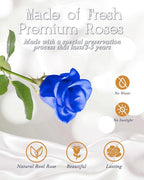 HVY Preserved Real Flowers Bouquet Gifts for Her,Forever Flowers Gift for Women,Preserved Blue Rose in Glass Dome with LED Light Ideal for Christmas,Birthday,Anniversary,Valentine's Day, Mother's Day