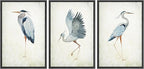 MUDECOR Framed Canvas Print Wall Art Heron Bird Wild Animal Prints Minimalist Modern Art Boho Relax Cozy Decor for Bedroom - 16"x24"x3 Black
