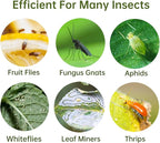 96 Pack Yellow Fungus Gnat Sticky Traps, Gnat Traps for House Indoor Gnats Killer, House Plant Gnats Bugs Sticky Killer Fruit Fly Traps for Indoor