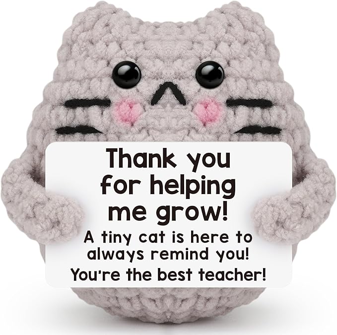 Teacher Appreciation Gifts for Women Cat Lover,Positive Crochet Animal for Teachers Mentors Coachs from Student, Emotional Crochet Support Cat