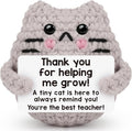 Teacher Appreciation Gifts for Women Cat Lover,Positive Crochet Animal for Teachers Mentors Coachs from Student, Emotional Crochet Support Cat
