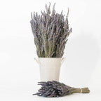 Victoria's Lavender Linen Spray - Aromatherapy Pillow Mist & Linen Spray for Bedding, Soothing Lavender Essential Oil Pure Blend for Bed & Pillows, Relaxing, Handmade in Oregon, Made in USA (8 oz)