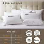 Luxurious Down Pillows - Standard Size, High Fill Power, Breathable Cotton Blend Shell,Down Pillow Ideal for Every Night (Off White, Standard (Pack of 2))
