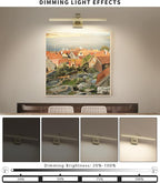 Antique Bronze Picture Lights for Wall Hardwired LED Picture Frame Light Dimmable Painting Lights for Wall Portrait Artwork 23.62 inch 14W Warm White