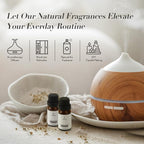 JCLOUD Sophisticated Allure Essential Oil - Inspired by Hilton Hotel Scent | Pure Aromatherapy Diffuser Oil with Jasmine and Cinnamon, Home Luxury Scents - 10mL