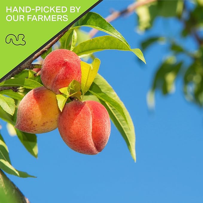 NUT CRAVINGS - Dried California Peaches, No Sugar Added, Unsweetened (48oz, 3 LB) Tu Bishvat Favorite - Sweet Healthy Snack, Vegan, Kosher, Resealable Bag