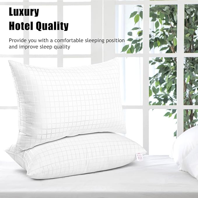 EIUE 2 Pack Queen Size Bed Pillows for Sleeping,Super Soft Down Alternative Microfiber Filled Pillows,20 x 30 Inches,White