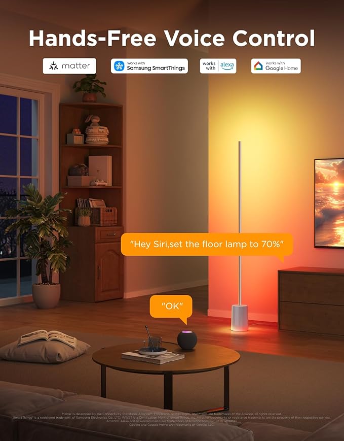 Govee Floor Lamp 2, RGBIC, Warm Cool White LED,Compatible with SmartThings, Matter, Alexa, 1725lm, Music Sync, Scene Modes, Smart Floor Lamp for Living Room, Bedroom, Silver(1 Pack)
