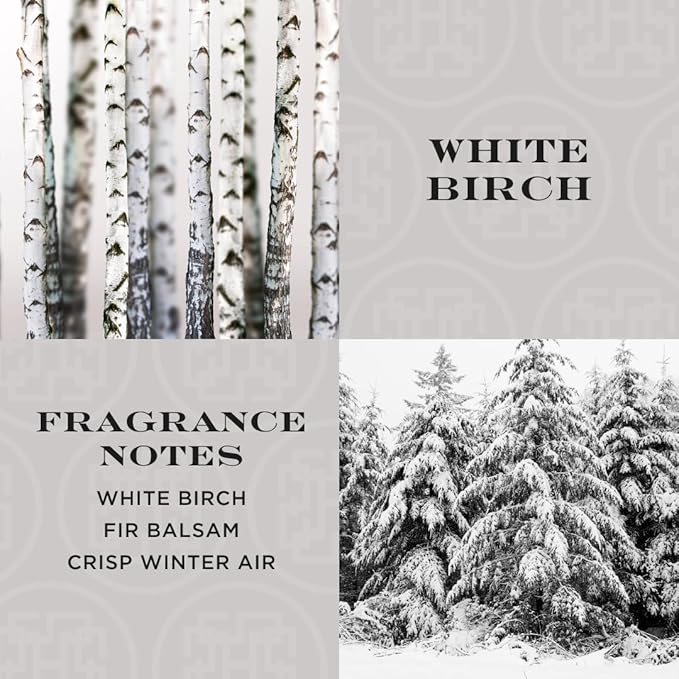 HomeWorx by SLATKIN + CO. White Birch Reed Stick Diffuser