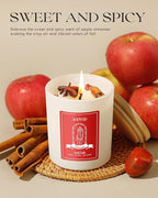 AOOVOO Apple Cinnamon Scented Candles for Women - Aromatherapy Candle with Crystals Inside, 10oz Soy Candles for Home Scented, Birthday Gifts Valentines Day Candle for Women Mom