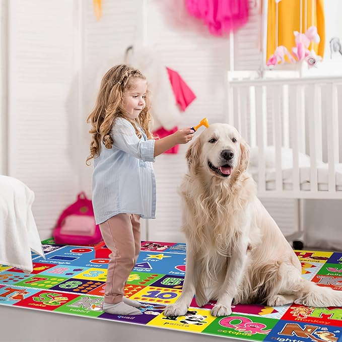 Kids Rug for Playroom, ABC Play Mat Educational Rugs, Soft Non-Slip Rug Toddler Baby Play Mat, Alphabet Carpet for Boy Girl Bedroom