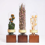 3Pcs Dried Flower Decor,Knick Knacks for Shelves,Cool Stuff for Bookshelf,Small Plants Decor for Office Shelves,Natural Green Plants Boho Shelf Decor,Apothecary Decor,Unique Gifts for Women,Friends