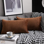 Light Brown Throw Pillow Cases: 2 Pack 12x20 Inch Original Stripe Velvet Rectangular Decorative Pillow Covers for Farmhouse Couch