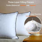 Luxurious Down Pillows - Standard Size, High Fill Power, Breathable Cotton Blend Shell,Down Pillow Ideal for Every Night (Off White, Standard (Pack of 2))