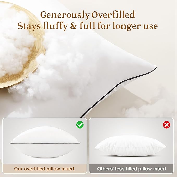 puredown® 12x20 Pillow Inserts Set of 2, Fluffy Overfilled Down Alternative Lumbar Pillows, Soft Plush Decorative Throw Pillows for Couch, Sofa, Bed and Home Decor