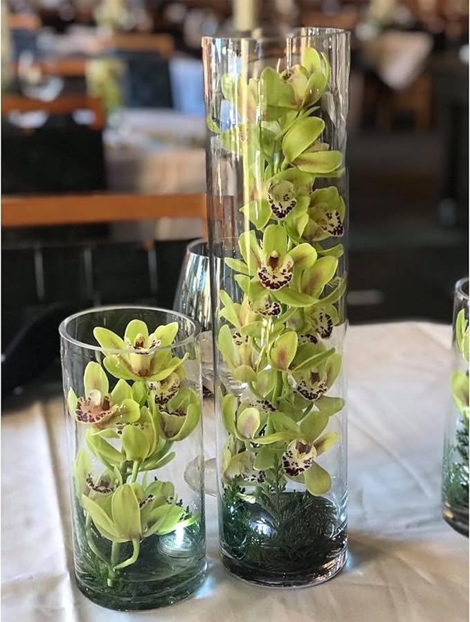 WGVI Quality Thick Weighted Clear Cylinder Glass Vases, 3" W x 16" H, Skinny Bud Tall Vase Floral Bouquet Flower Arrangements Wedding Centerpieces Container Candle Holders Home Decor, 1 Piece