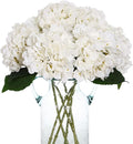Kimura's Cabin 6pcs Faux White Hydrangeas Fake Flowers Artificial Silk Hydrangea Flower With Stems Bouquets Arrangement for Home Table Centerpieces Wedding Baby Shower Birthday Party Decoration(White)